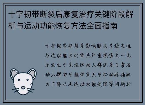 十字韧带断裂后康复治疗关键阶段解析与运动功能恢复方法全面指南